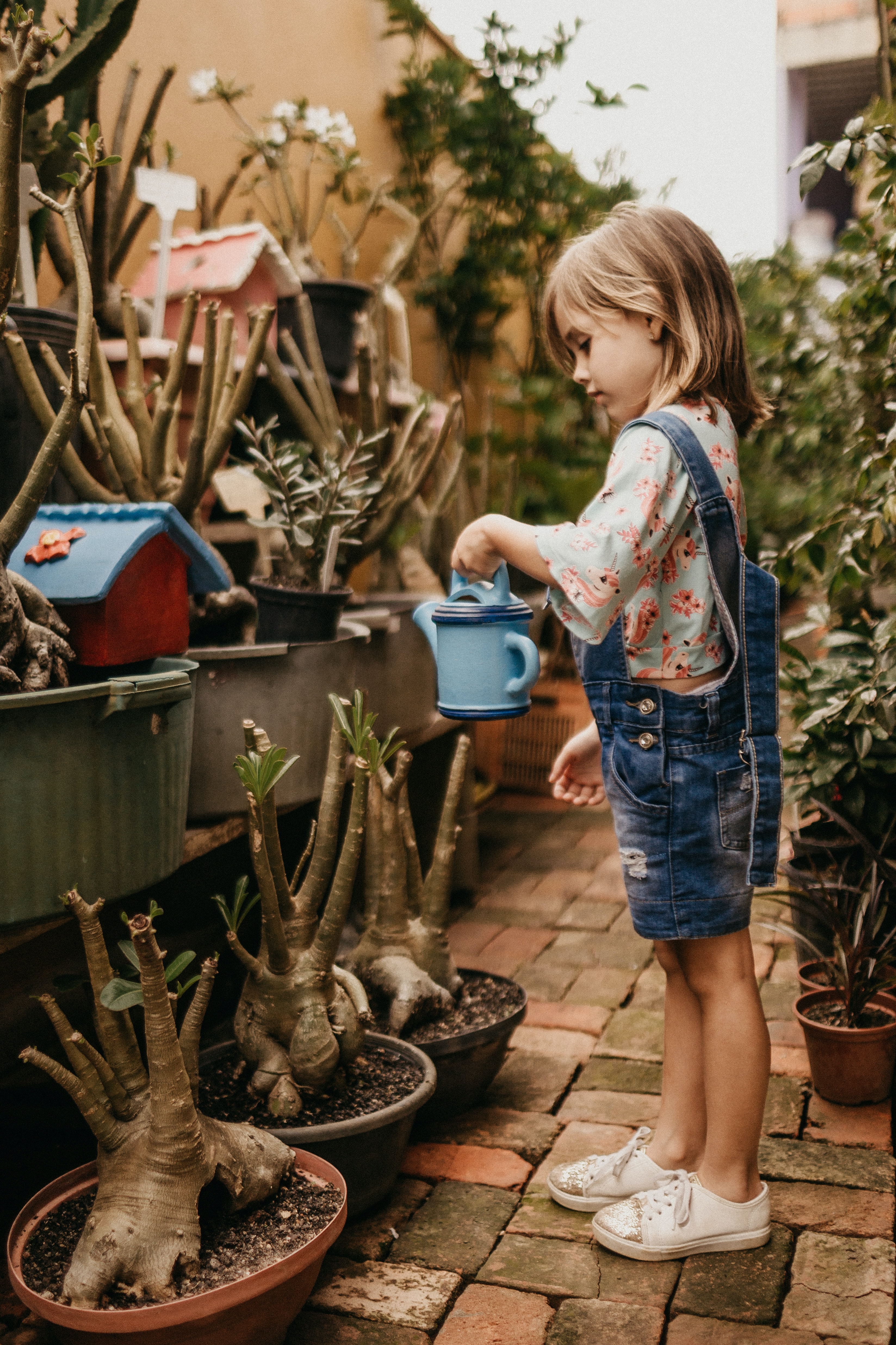 young girl watering various green plants
